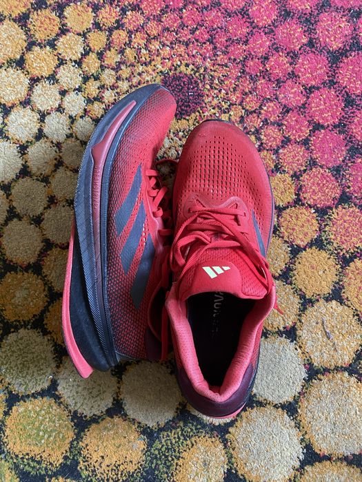 Кросівки adidas чоловічі