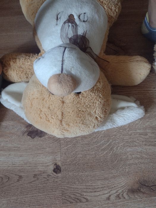 Dwie maskotki misiów polecam