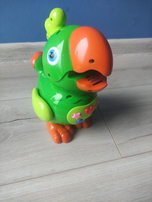 Gadająca papuga dla dzieci