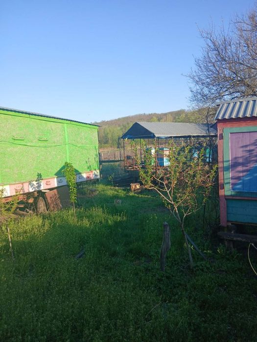 Павільйони для Бджіл виготовленні з тракторних прицепів