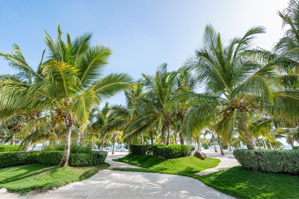 Noclegi w Republika Dominikana nad Morzem Karaibskim