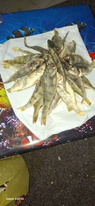 Рыба вялена,сушена  асортимент!!