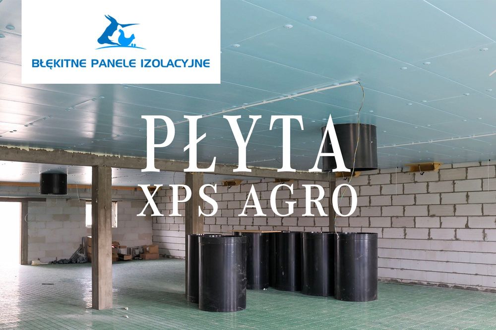 Izolacja Sufitu Dachu Stropu Odchowalni Świń Płyta Styrodur XPS AGRO