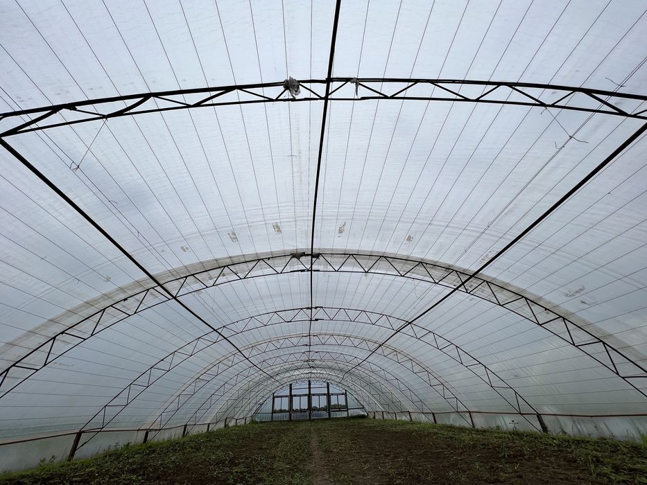 Продам теплицу: 70 000 грн. - Сад / город Калаглія на Olx