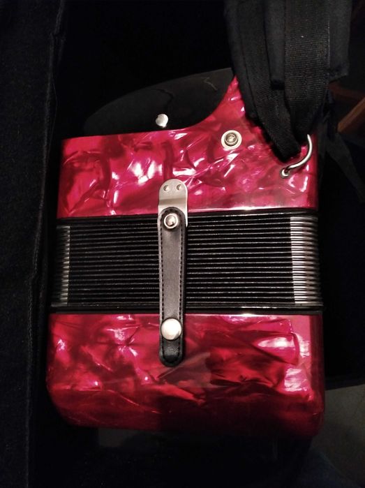 Acordeão Hohner Nova III 96 baixos