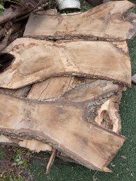 Deski foszty orzech włoski, jarząb ogl.AKTUALNE!