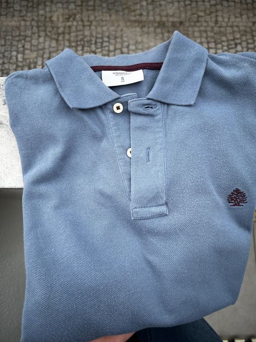 Polo Springfield de homem