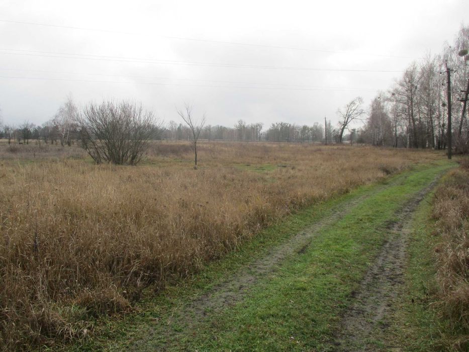 Продаж земельної ділянки 21 сот. Київська обл., с.Жукин      8500$