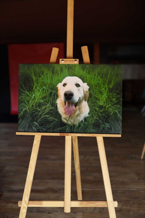 Картини на холсте, Печать фото, Печать картин з фото , картина с фото