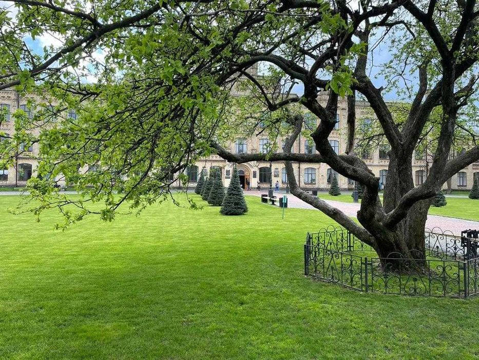 3-кімнатна квартира за адресою Берестейський проспект (площа 165 м²) - Atlanta.ua - фото 19