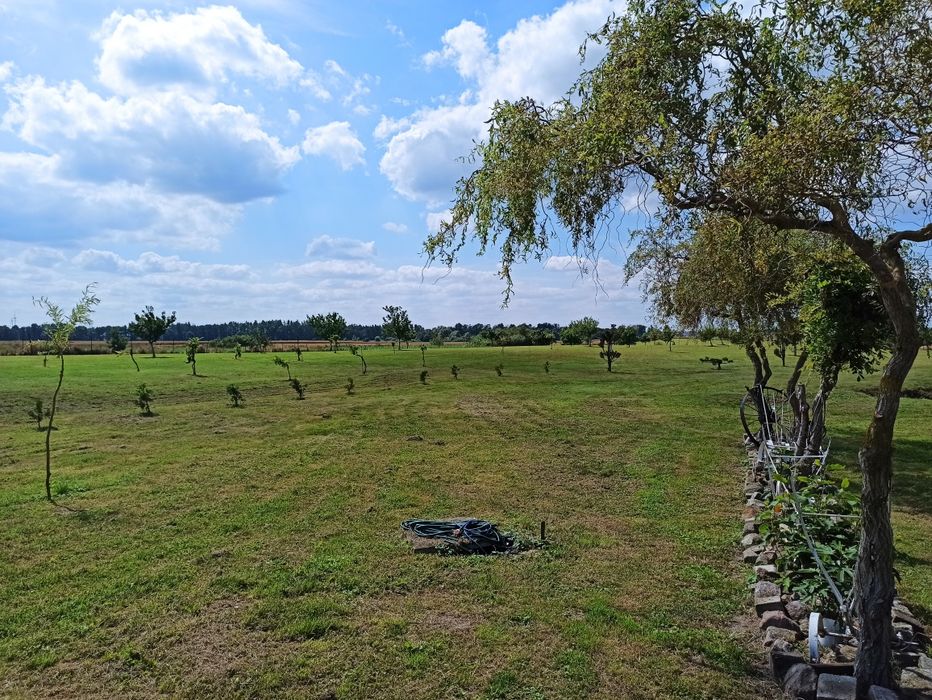 Dom na dużej dzialce