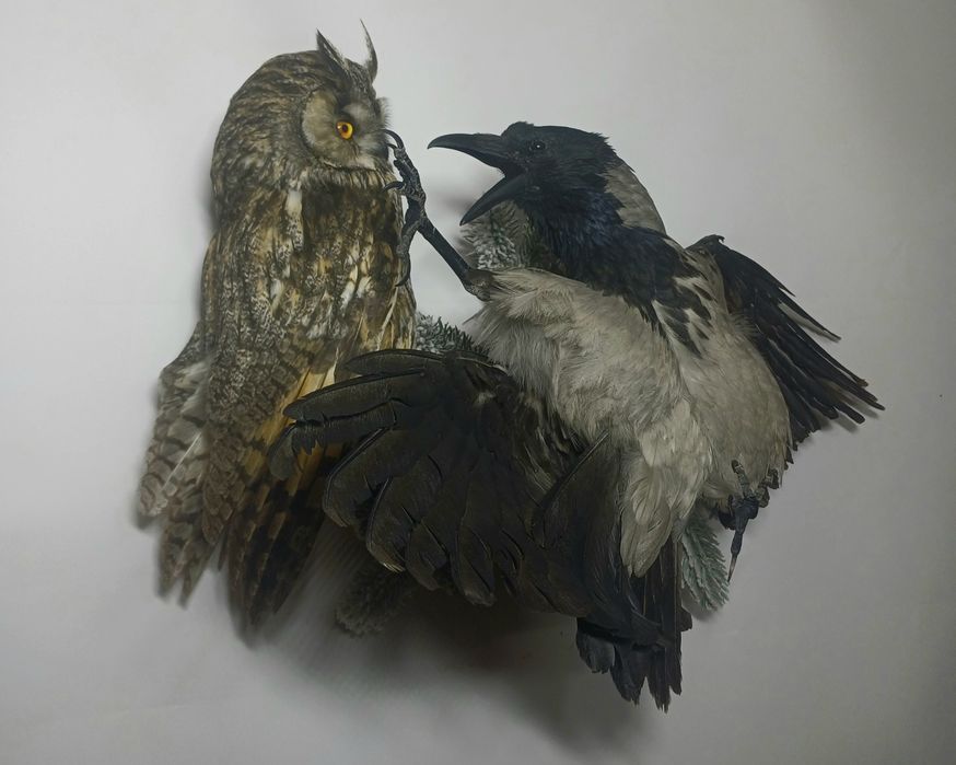 Таксидермія опудало