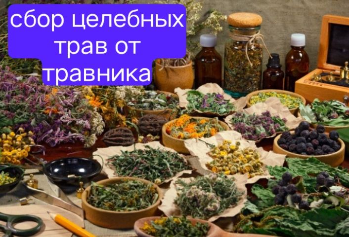 Фито чай травы лекарственные травы лікарські трави сбор трав чай трава