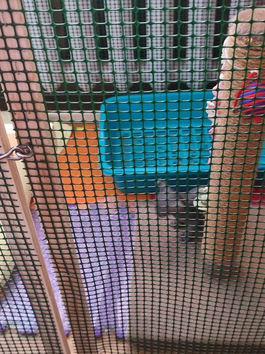 Продам вальер, для животных.