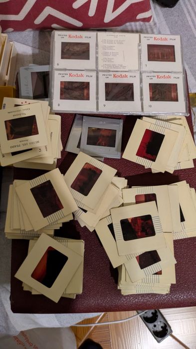 Lote  229 Slides