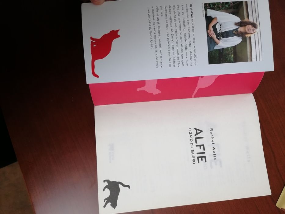Alfie o Gato do Bairro - Rachel Wells
