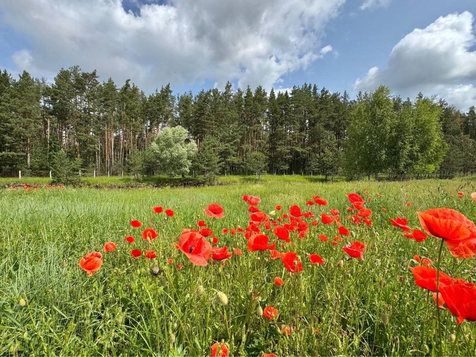 Просторий маєток з басейном — ідеальний варіант для родини чи бізнесу!