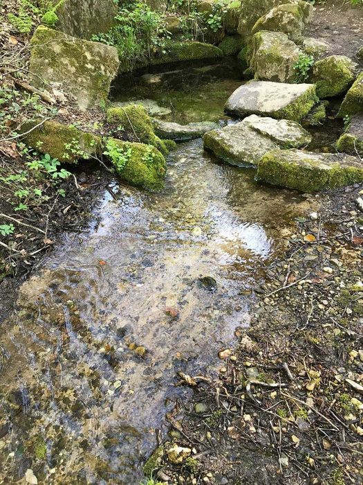 Продам земельну ділянку у Середкевичах під форелеве господарство .