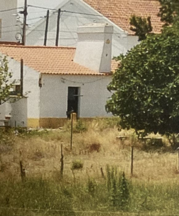 Quintinha 10150m2