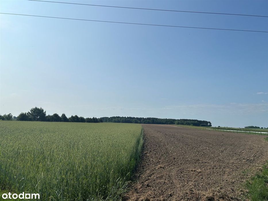 Działka budowlana w urokliwym miejscu przy lesie - Widok 5