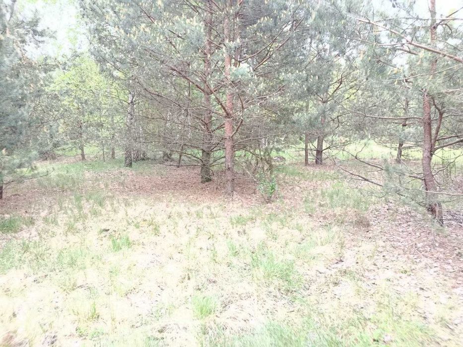 Продам  15-сот під забудову село.Сінгури р-н новобудов