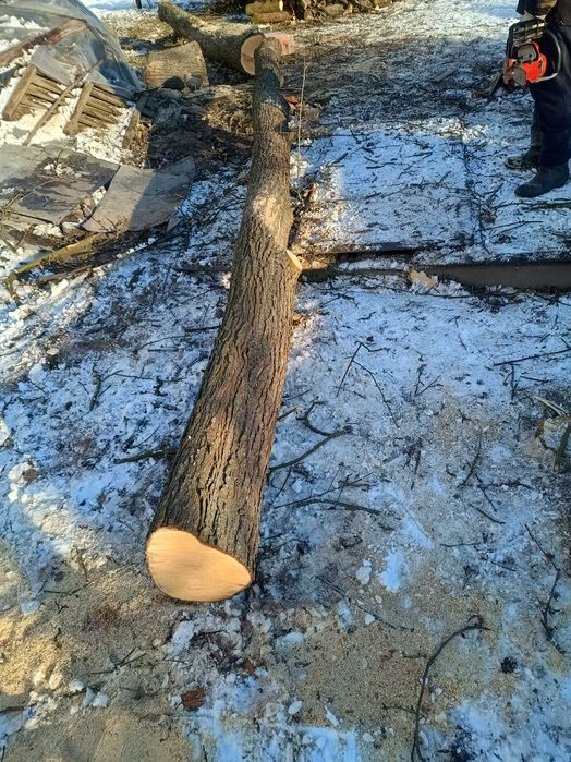 Kłoda gruszy, drewno, gruszka