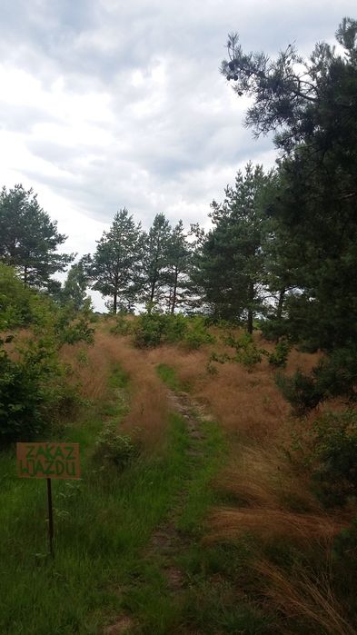 Działka budowlana  w Lipuszu 1404 metry