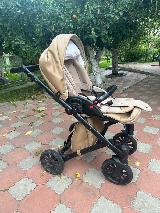 Коляска 2 в 1 Anex Cross (Анекс Крос)