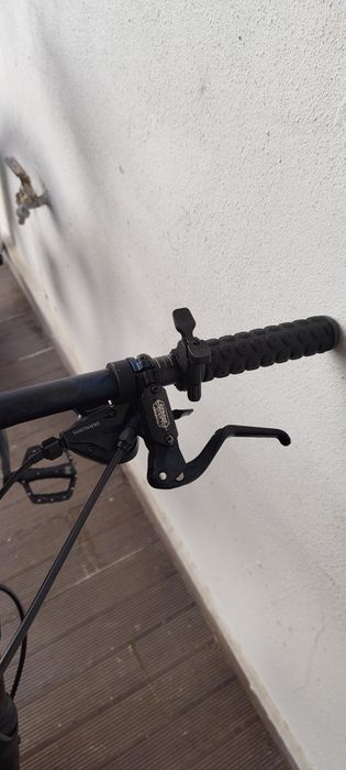 Bicicleta todo terreno austro