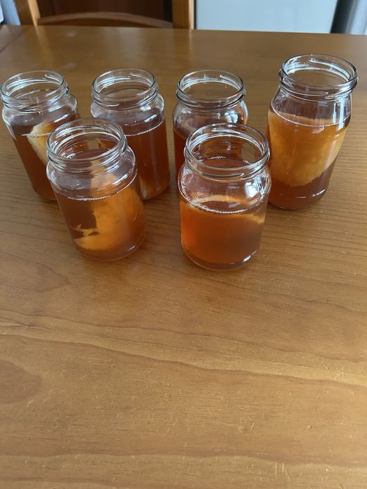 Vendo combucha, e um bom probiotico.