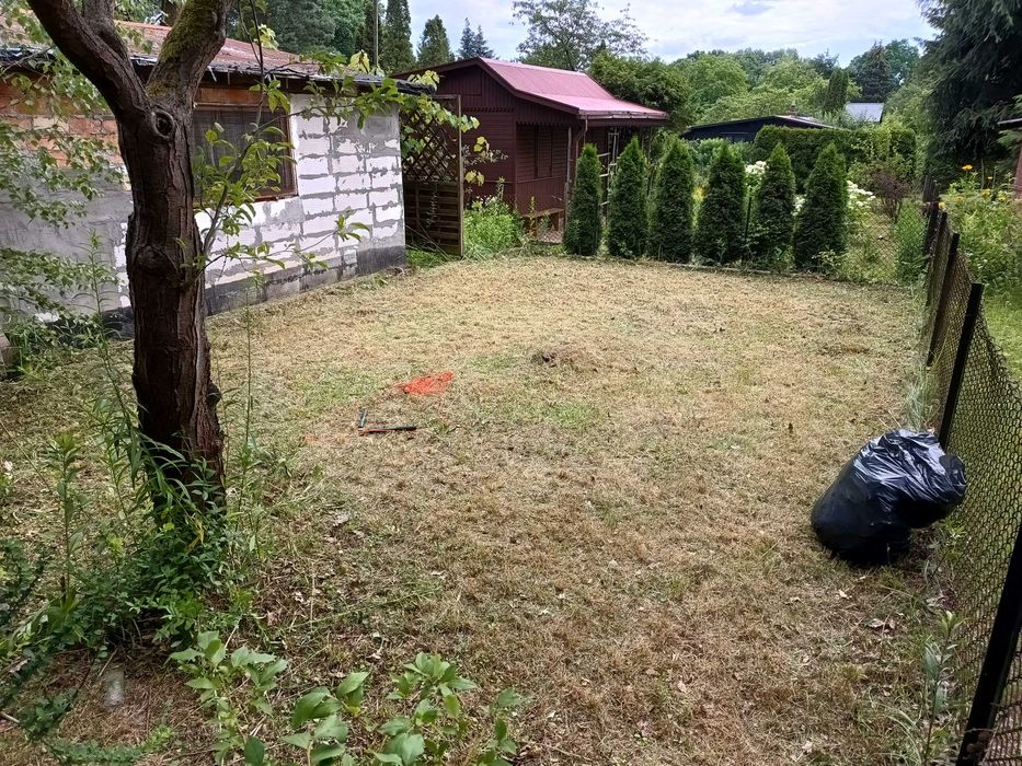 Koszenie GRABIENIE Prace ogrodowe, ROD i inne - 7 DNI W TYGODNIU