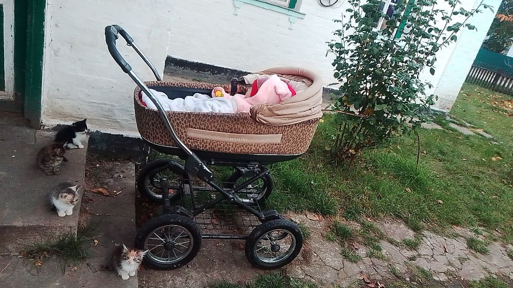 Обмін на прогулянку для дівчинки