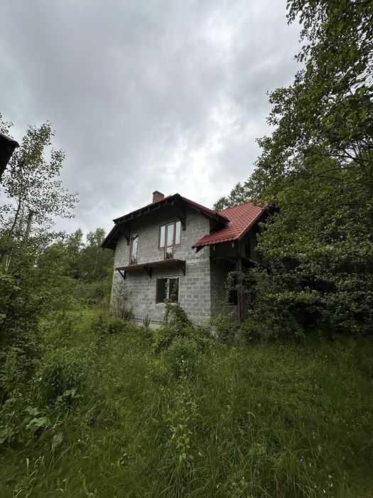 Продаж двох котеджів (або один) недалеко від Шацьку