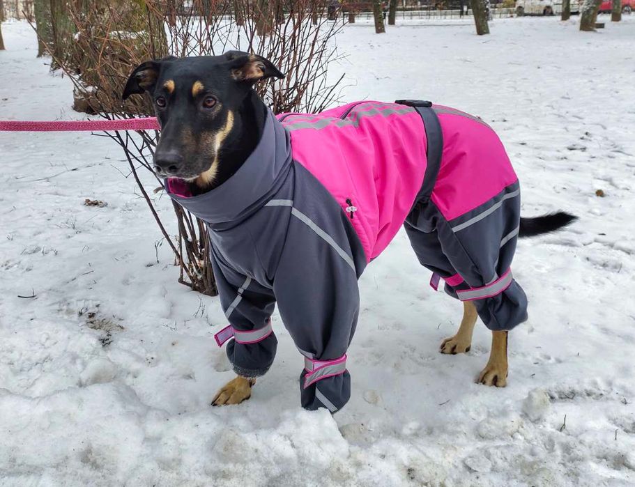 одяг для собак великі розміри
