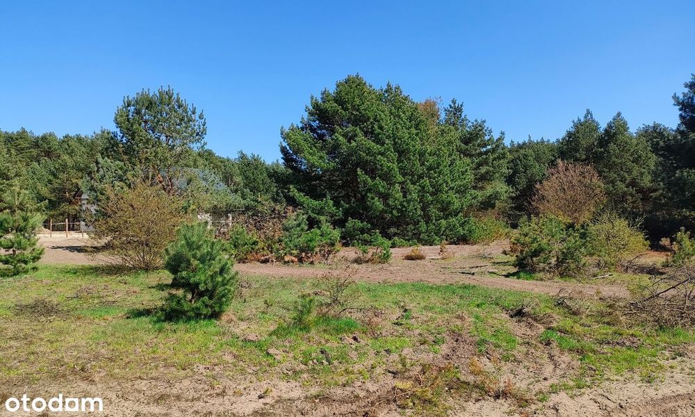 Działka budowlana 2000 m2 - PRĄD W GRANICY, blisko lasu