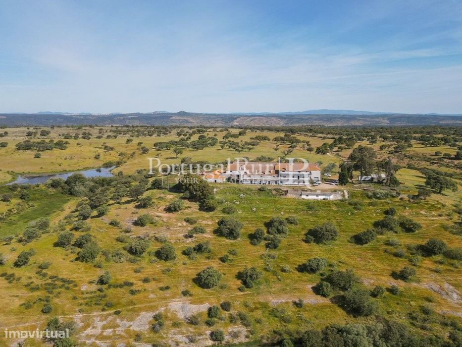 Herdade com 380ha próximo de Castelo Branco
