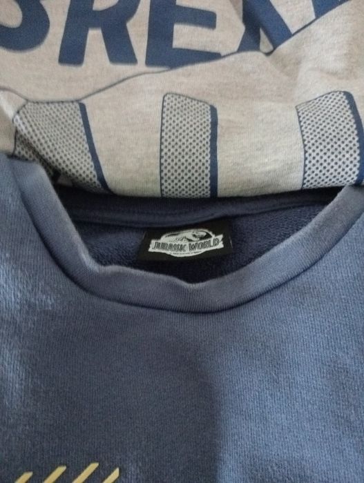 Lote+de+7+sweats+Menino.+9%2F10+anos%2C+portes+inclu%C3%ADdos+%0A%2C+Zippy%2C+Portes64586211254913124