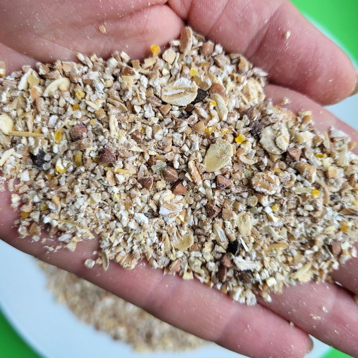 Каша для собак. Корм каша