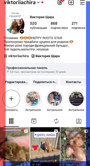 Шпицулі красотулі .Хлопчики та дівчатка.