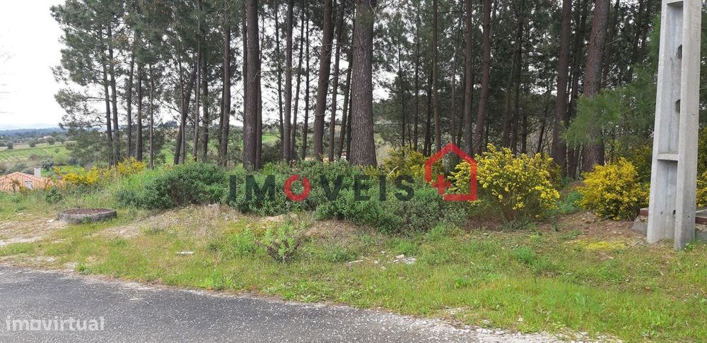 Terreno para Construção — Alburitel, Santarém