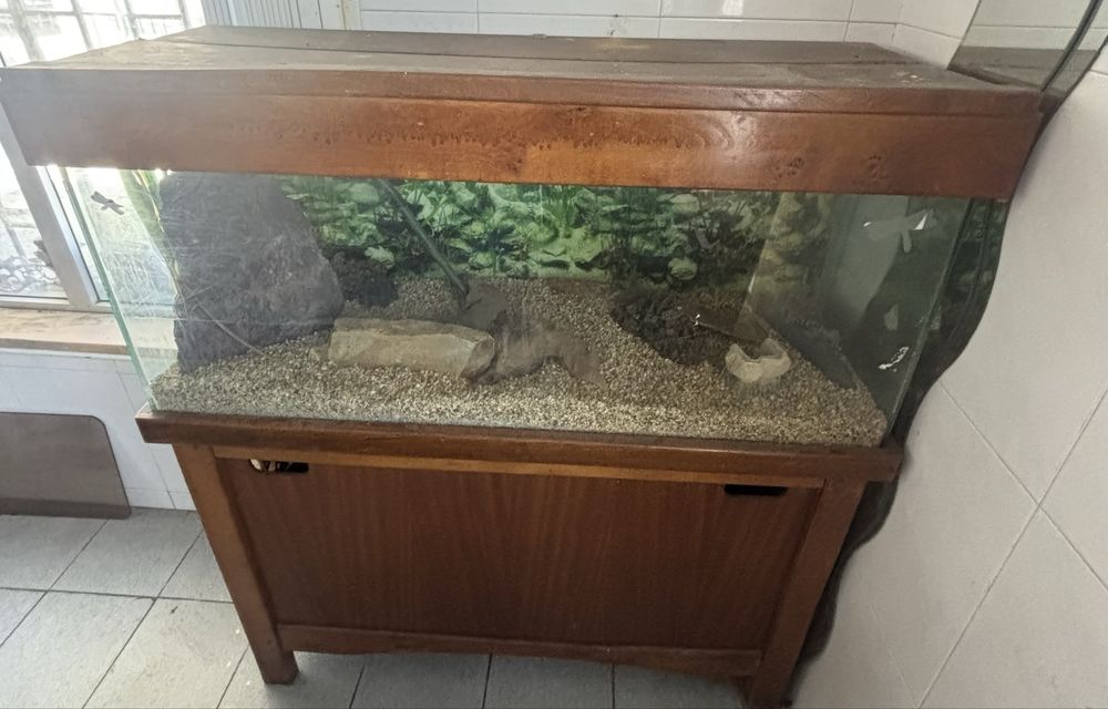 Vendo aquário.