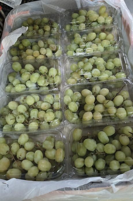 Caixas de uvas docinhas e frescas para entregas