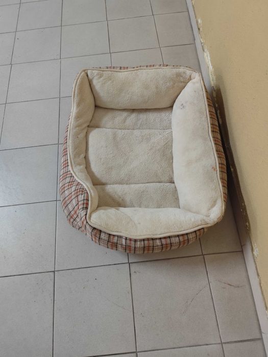 Alcofa para Cão grande