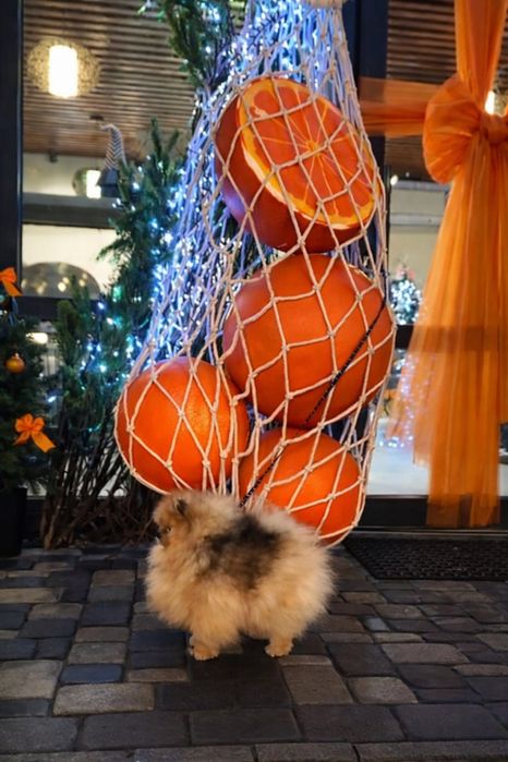 Гарний хлопчик.      .