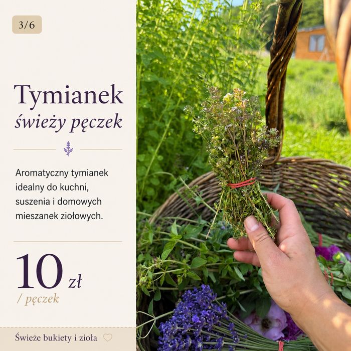 Tymianek świeży pęczek
