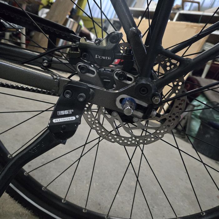 Trek District+ 7 | Rama L | Pasek Gates (Carbon) | Bosch 500Wh | 2021