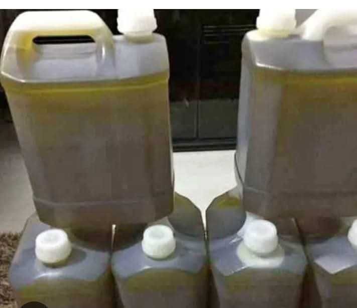 Azeite caseiro de boa qualidade garrafão de 5 litros 25€