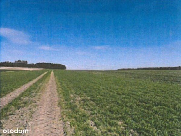 Syndyk sprzeda udział ½ w działce rolnej - Widok 5