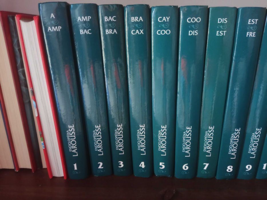 Enciclopédia Larrousse 18 Volumes