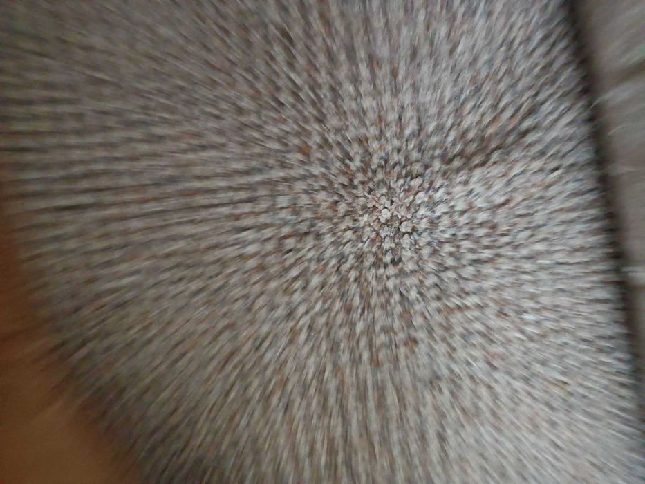 Sprzedam Dywan- Bezowy z Brązem200 X  240 cm